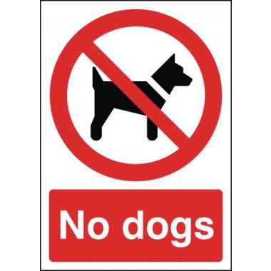 no dog.jpg