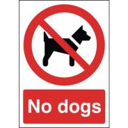 no dog.jpg